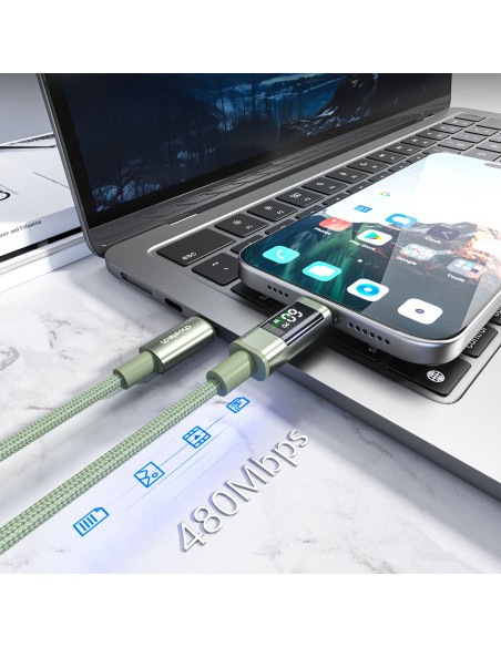 
USB-C laidas su ekranu PD 60W 1.2m - žalias
