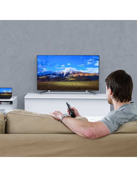 
USB-A į HDMI adapteris – sidabrinis
