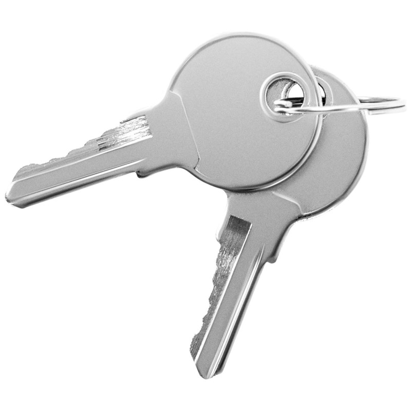 Aliumininė dirbtuvių įrankių dėžė su dangteliu 120 l