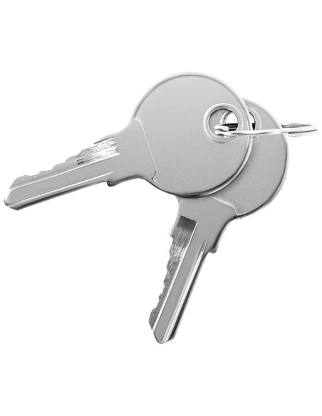 Aliumininė dirbtuvių įrankių dėžė su dangteliu 120 l Aliumininė dirbtuvių įrankių dėžė su dangteliu 120 l