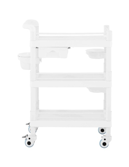 Kosmetikos procedūrų laboratorinis vežimėlis 3 lentynos 1 stalčius 3 konteineriai 71 x 46 x 99 cm 30 kg Kosmetikos procedūrų laboratorinis vežimėlis 3 lentynos 1 stalčius 3 konteineriai 71 x 46 x 99 cm 30 kg