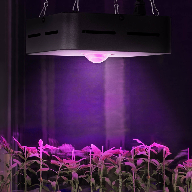 Augalų augimo lempa viso spektro 20 x 20 cm 1 LED 50 W juoda