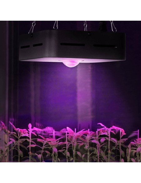 Augalų augimo lempa viso spektro 20 x 20 cm 1 LED 50 W juoda Augalų augimo lempa viso spektro 20 x 20 cm 1 LED 50 W juoda