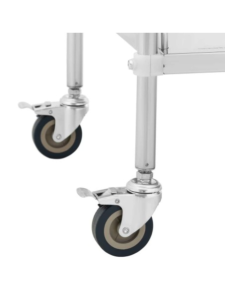 Kosmetinio gydymo laboratorinis vežimėlis iš plieno 2 lentynos 1 stalčius 55 x 60 x 86 cm 20 kg Kosmetinio gydymo laboratorinis vežimėlis iš plieno 2 lentynos 1 stalčius 55 x 60 x 86 cm 20 kg