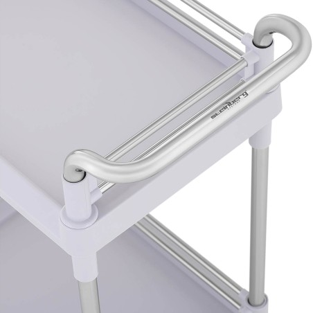 Kosmetinių procedūrų laboratorinis vežimėlis su 2 lentynomis 61 x 37 x 91 cm 20 kg Kosmetinių procedūrų laboratorinis vežimėlis su 2 lentynomis 61 x 37 x 91 cm 20 kg