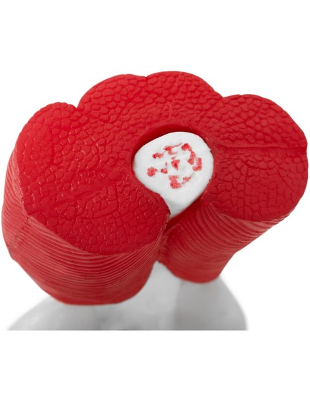 3D anatominis kelio sąnario modelis 1:1 masteliu 3D anatominis kelio sąnario modelis 1:1 masteliu