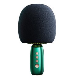 belaidis karaoke mikrofonas su Bluetooth 5.0 garsiakalbiu žalia