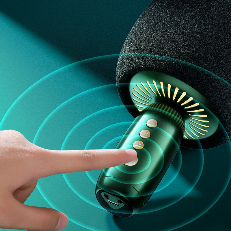 belaidis karaoke mikrofonas su Bluetooth 5.0 garsiakalbiu žalia