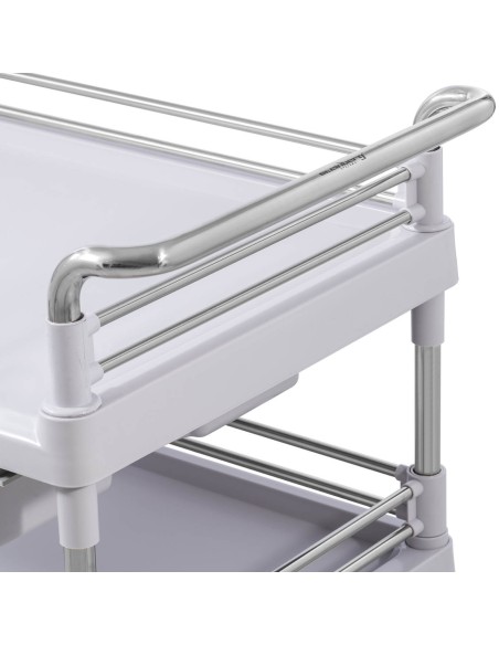 Kosmetikos procedūrų laboratorinis vežimėlis 2 stalčiai 3 lentynos 70 x 64 x 99 cm Kosmetikos procedūrų laboratorinis vežimėlis 2 stalčiai 3 lentynos 70 x 64 x 99 cm