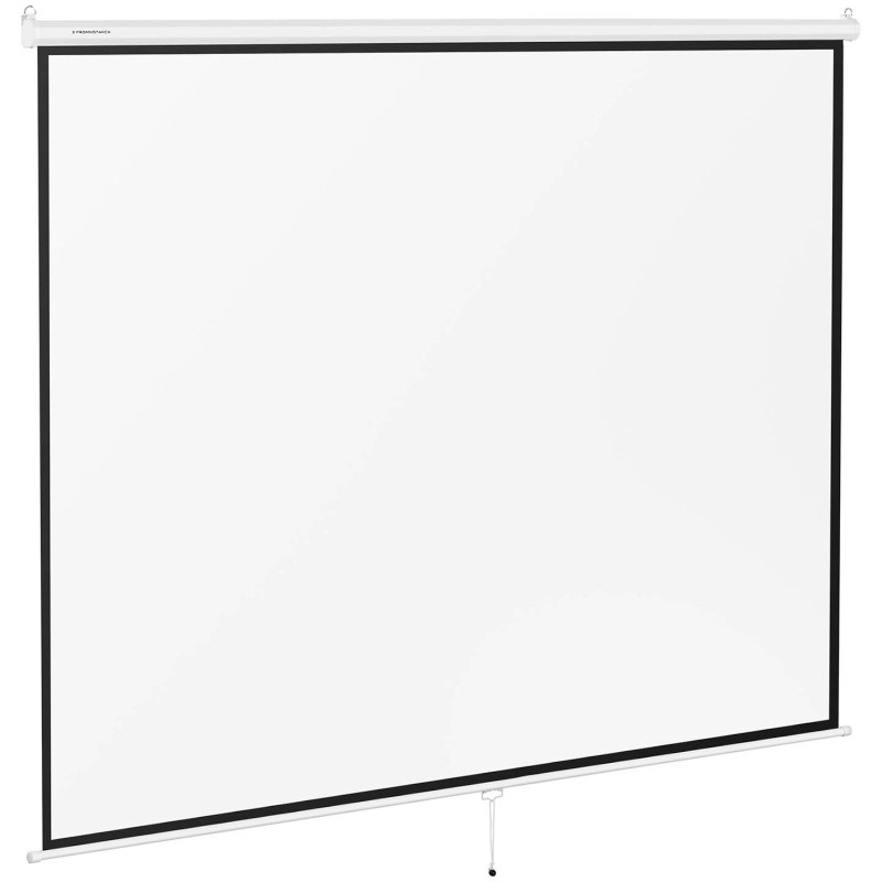Projektoriaus ekranas pusiau automatinis sieninis lubų matinis baltas 150'' 312,8x239 cm 4:3