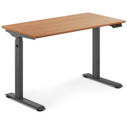 Elektrinis reguliuojamo aukščio rašomasis stalas 120x60 cm aukštis 730-1233 mm PILKAI RUDAS