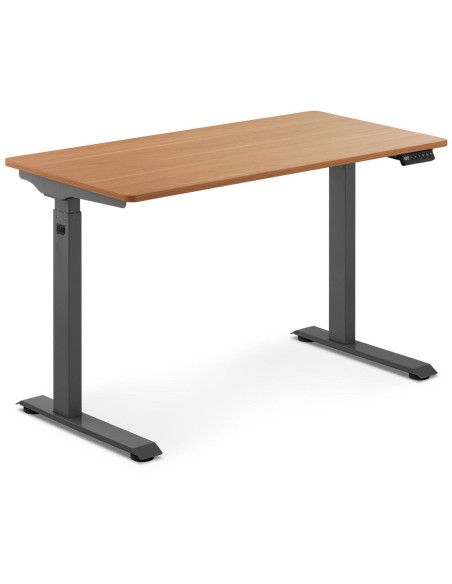 Elektrinis reguliuojamo aukščio rašomasis stalas 120x60 cm aukštis 730-1233 mm PILKAI RUDAS Elektrinis reguliuojamo aukščio rašomasis stalas 120x60 cm aukštis 730-1233 mm PILKAI RUDAS