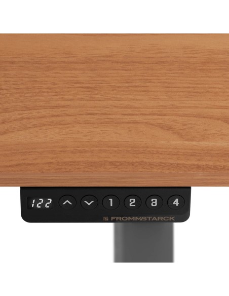 Elektrinis reguliuojamo aukščio rašomasis stalas 120x60 cm aukštis 730-1233 mm PILKAI RUDAS Elektrinis reguliuojamo aukščio rašomasis stalas 120x60 cm aukštis 730-1233 mm PILKAI RUDAS
