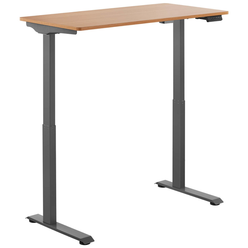 Elektrinis reguliuojamo aukščio rašomasis stalas 120x60 cm aukštis 730-1233 mm PILKAI RUDAS
