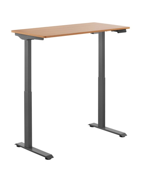 Elektrinis reguliuojamo aukščio rašomasis stalas 120x60 cm aukštis 730-1233 mm PILKAI RUDAS Elektrinis reguliuojamo aukščio rašomasis stalas 120x60 cm aukštis 730-1233 mm PILKAI RUDAS