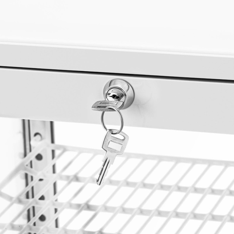 3 lygių įstiklinta šaldytuvo vitrina 58 l - balta