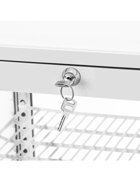 3 lygių įstiklinta šaldytuvo vitrina 58 l - balta