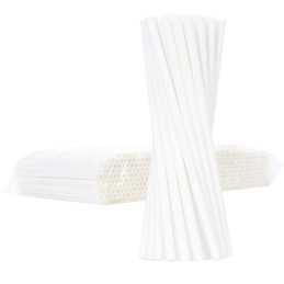 BIO ekologiški popieriniai šiaudeliai PAPER STRAWS 6/205mm - balti 500vnt.