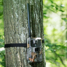 Laukinių gyvūnų gaudyklė su judesio jutikliu 8MP F-HD 20m IR LED 4G LTE ANT
