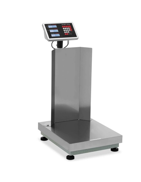 Sandėliavimo platforminės svarstyklės su atlošu 40 x 50 cm LCD 60 kg / 0,005 kg