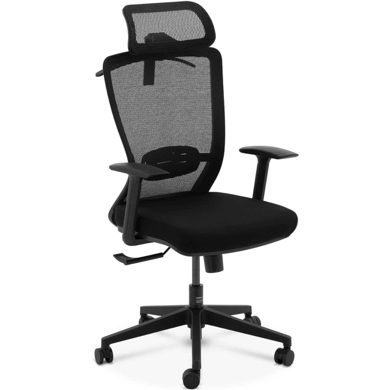 Ergonomiška biuro kėdė su tinkliniu atlošu, galvos atrama ir kabykla, aukštis 43-53 cm