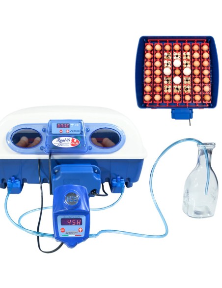 Automatinis inkubatorius 49 kiaušiniams su BIOMASTER 150 W drėkinimo sistema Automatinis inkubatorius 49 kiaušiniams su BIOMASTER 150 W drėkinimo sistema