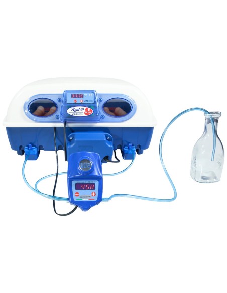 Automatinis inkubatorius 49 kiaušiniams su BIOMASTER 150 W drėkinimo sistema Automatinis inkubatorius 49 kiaušiniams su BIOMASTER 150 W drėkinimo sistema