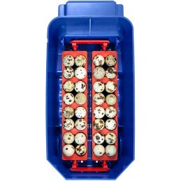 Automatinis inkubatorius 8 kiaušiniams su vandens dozatoriumi profesionalus 50 W