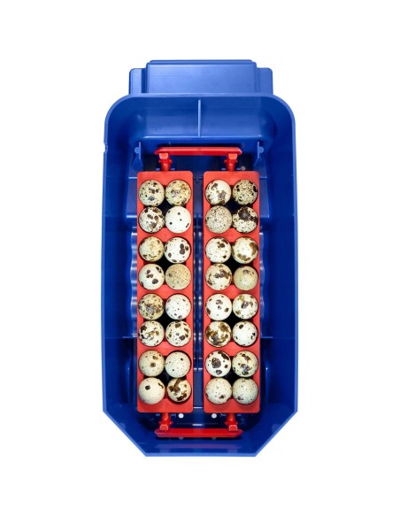 Automatinis inkubatorius 8 kiaušiniams su vandens dozatoriumi profesionalus 50 W Automatinis inkubatorius 8 kiaušiniams su vandens dozatoriumi profesionalus 50 W