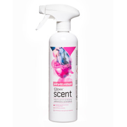 Koncentruotas oro gaiviklis purškiamas ant paviršių CLINEX Scent - Parisian Grace 500ML