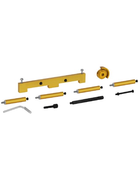 Paskirstymo užraktas benzininiams varikliams BMW N42 N46 SET Paskirstymo užraktas benzininiams varikliams BMW N42 N46 SET
