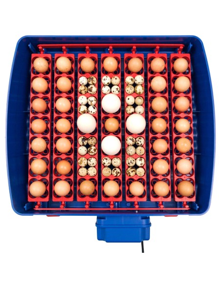 Automatinis inkubatorius 49 kiaušiniams su BIOMASTER 150 W apsauga Automatinis inkubatorius 49 kiaušiniams su BIOMASTER 150 W apsauga