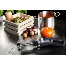 Galingas maišytuvas maišytuvas rankinis roboto rankos ilgis 250mm 350W 230V Royal Catering