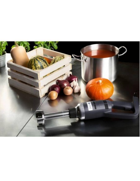Galingas maišytuvas maišytuvas rankinis roboto rankos ilgis 250mm 350W 230V Royal Catering Galingas maišytuvas maišytuvas rankinis roboto rankos ilgis 250mm 350W 230V Royal Catering