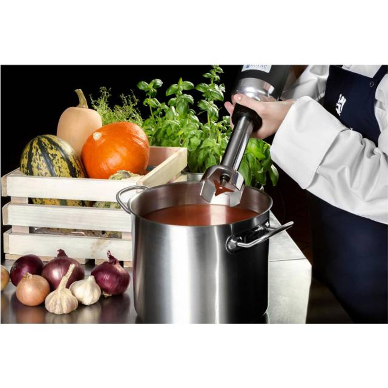 Galingas maišytuvas maišytuvas rankinis roboto rankos ilgis 250mm 350W 230V Royal Catering