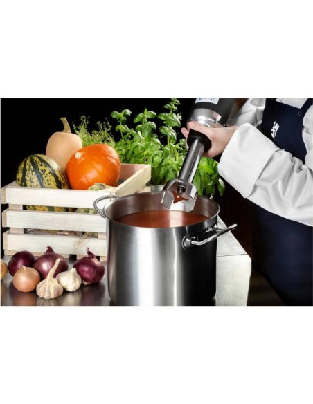 Galingas maišytuvas maišytuvas rankinis roboto rankos ilgis 250mm 350W 230V Royal Catering Galingas maišytuvas maišytuvas rankinis roboto rankos ilgis 250mm 350W 230V Royal Catering