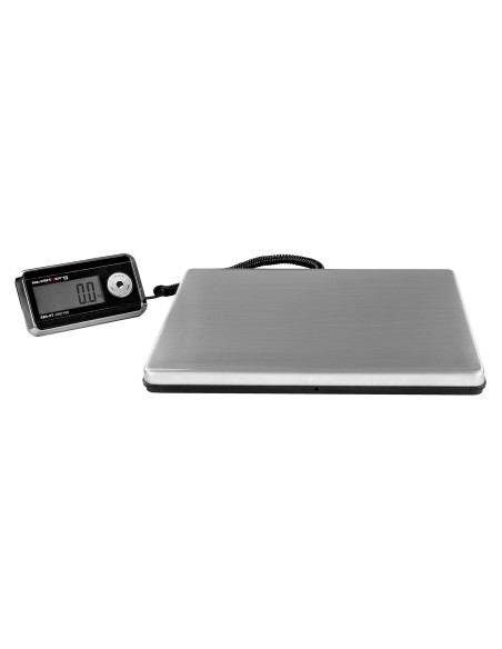 Pašto platforminės svarstyklės siuntiniams SBS-PT-200/100 iki 200kg / 100g Pašto platforminės svarstyklės siuntiniams SBS-PT-200/100 iki 200kg / 100g