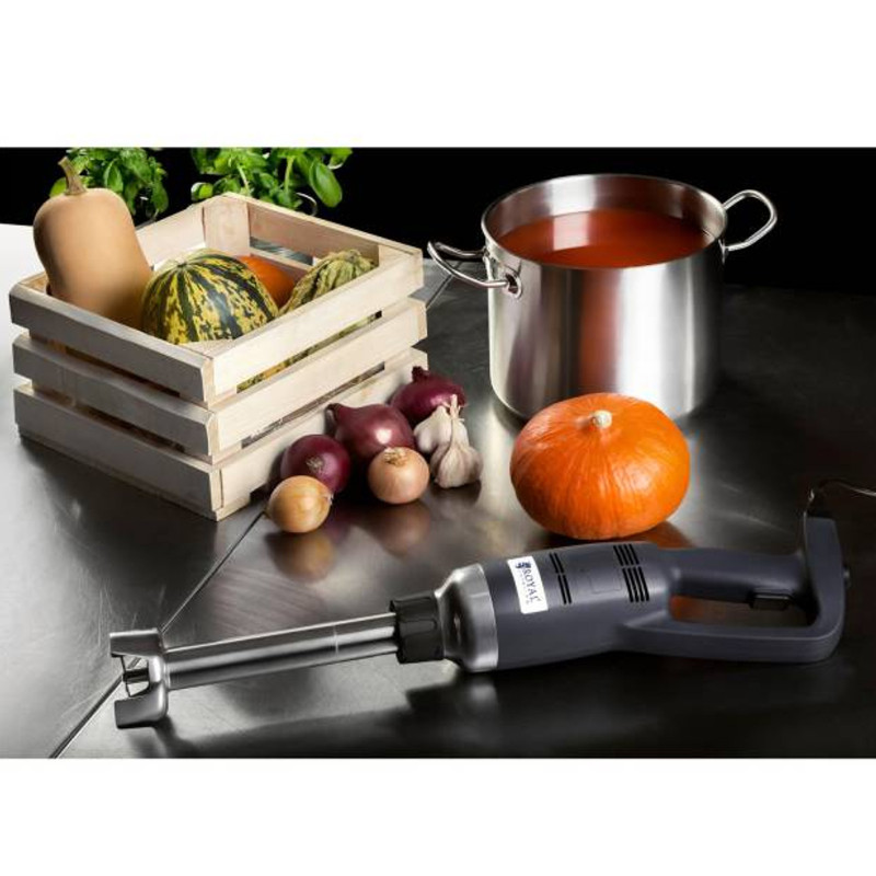 Galingas maišytuvas maišytuvas rankinis roboto rankos ilgis 300mm 350W 230V Royal Catering