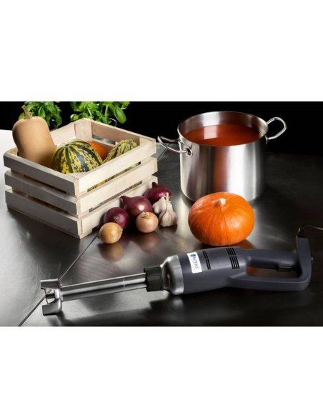 Galingas maišytuvas maišytuvas rankinis roboto rankos ilgis 300mm 350W 230V Royal Catering Galingas maišytuvas maišytuvas rankinis roboto rankos ilgis 300mm 350W 230V Royal Catering