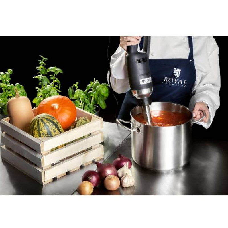 Galingas maišytuvas maišytuvas rankinis roboto rankos ilgis 300mm 350W 230V Royal Catering