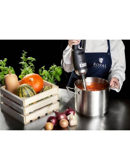 Galingas maišytuvas maišytuvas rankinis roboto rankos ilgis 300mm 350W 230V Royal Catering Galingas maišytuvas maišytuvas rankinis roboto rankos ilgis 300mm 350W 230V Royal Catering
