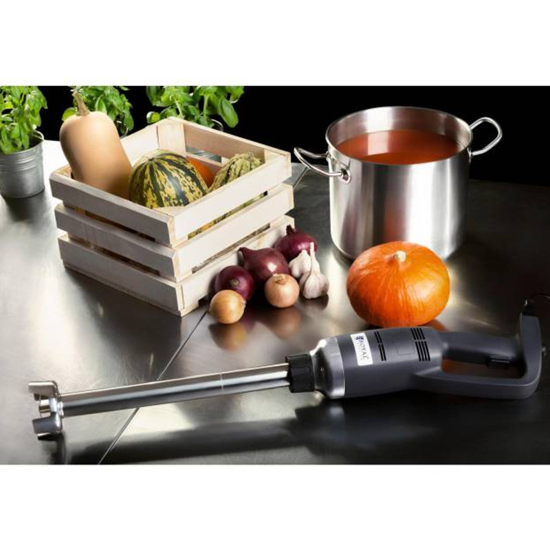 Galingas maišytuvas maišytuvas rankinis roboto rankos ilgis 400mm 500W 230V Royal Catering