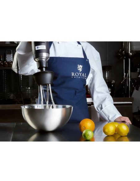 Galingas maišytuvas maišytuvas rankinis robotas su šluotele 500W 230V Royal Catering