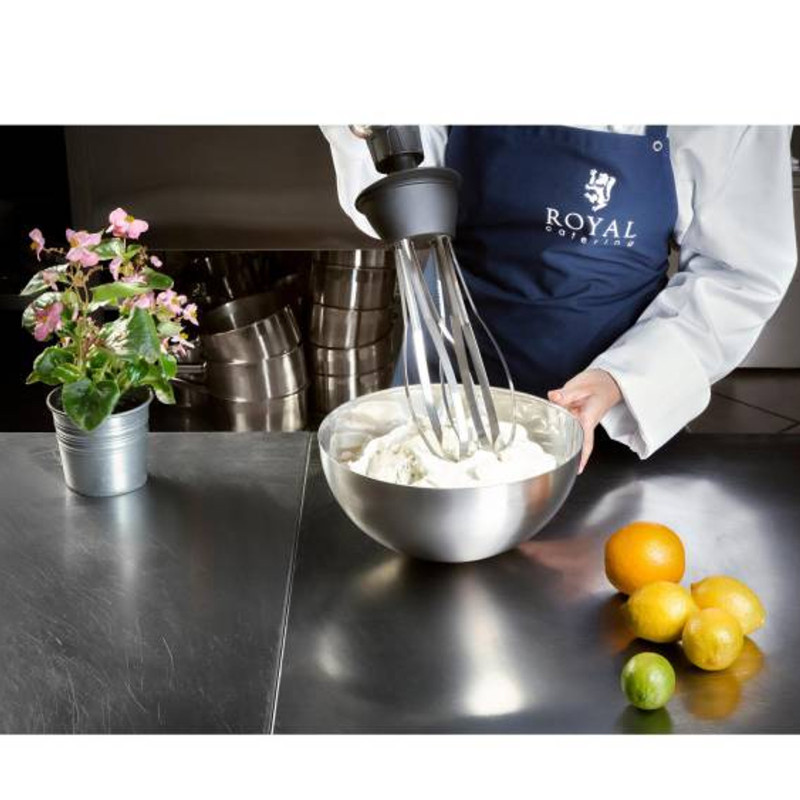 Galingas maišytuvas maišytuvas rankinis robotas su šluotele 500W 230V Royal Catering