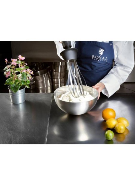 Galingas maišytuvas maišytuvas rankinis robotas su šluotele 500W 230V Royal Catering