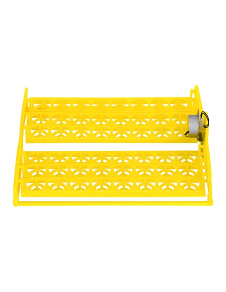 Inkubatorinė perykla 48 kiaušiniams perinti + 100W ovoskopas Inkubatorinė perykla 48 kiaušiniams perinti + 100W ovoskopas