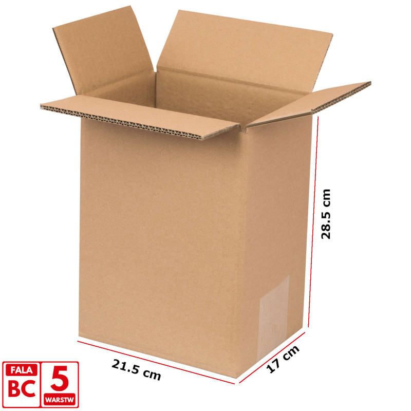 Kartoninė dėžutė FEFCO 0201 5 sluoksnių 215x170x285mm 1 x UN 5L 10vnt
