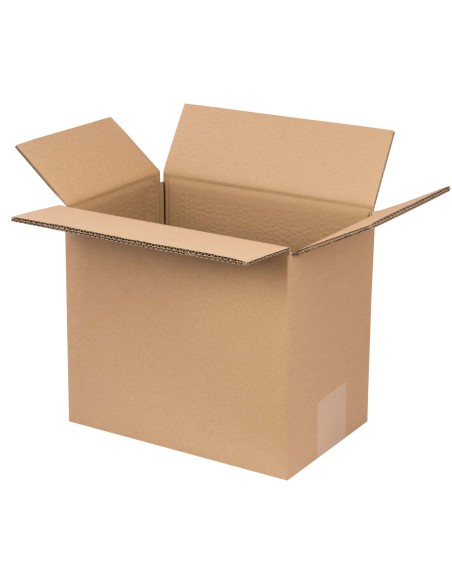 Kartoninė dėžutė FEFCO 0201 5 sluoksnių 325x210x285mm 2 x UN 5L 10vnt Kartoninė dėžutė FEFCO 0201 5 sluoksnių 325x210x285mm 2 x UN 5L 10vnt