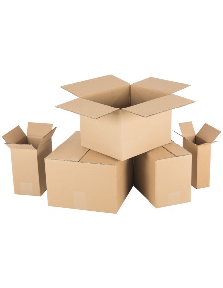 Kartoninė dėžutė FEFCO 0201 5 sluoksnių 325x210x285mm 2 x UN 5L 10vnt Kartoninė dėžutė FEFCO 0201 5 sluoksnių 325x210x285mm 2 x UN 5L 10vnt