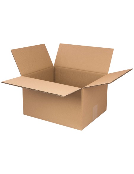 Kartoninė dėžutė FEFCO 0201 5 sluoksnių 480x395x290mm 6 x UN 5L 10vnt Kartoninė dėžutė FEFCO 0201 5 sluoksnių 480x395x290mm 6 x UN 5L 10vnt